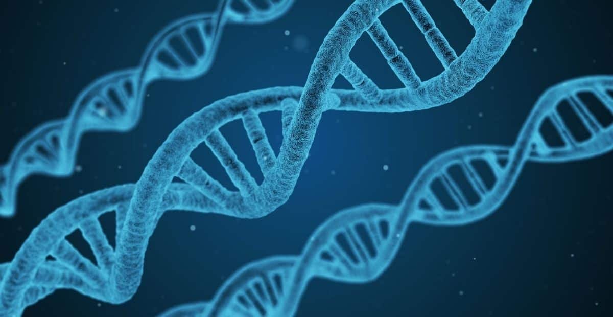 Difference Between DNA and RNA Explained in Hindi