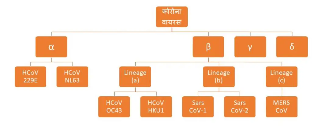 Corona Virus and its Type - in Hindi