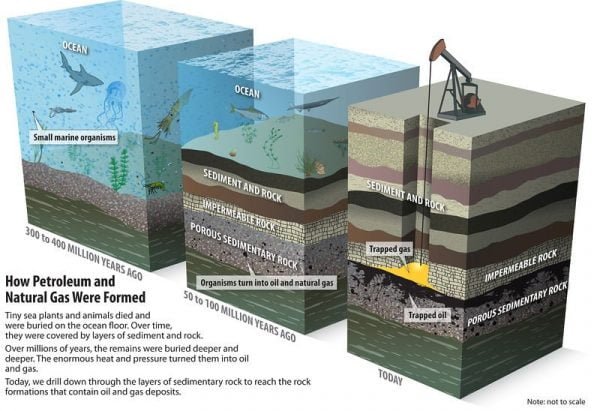 Fossil Fuel its Formation Uses and Future Explained in Hindi