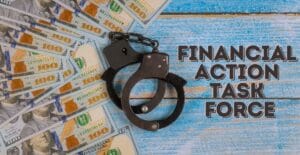 Financial Action Task Force in Hindi